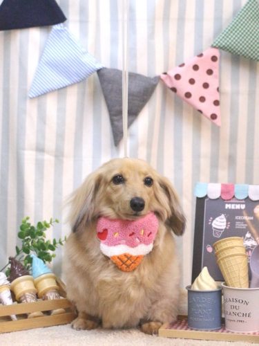 20250506モカちゃん